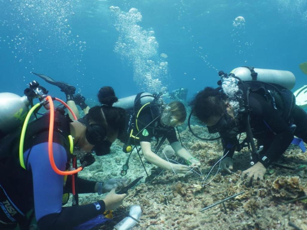 The Sagara Penida Nusa Penida Room photo